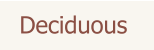 Deciduous