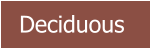 Deciduous