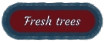 Fresh trees