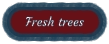 Fresh trees