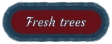 Fresh trees