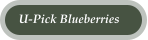 U-Pick Blueberries