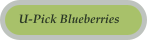 U-Pick Blueberries